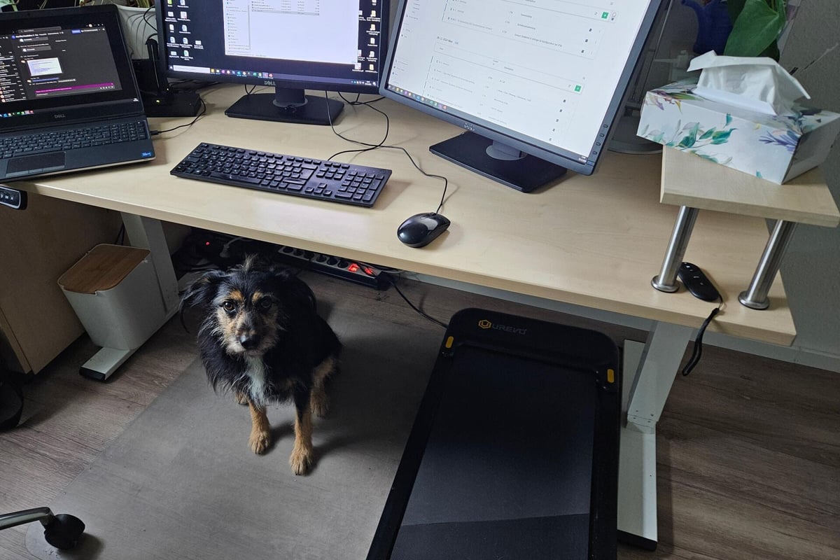 pa-Karriere-Homeoffice-1920x1280